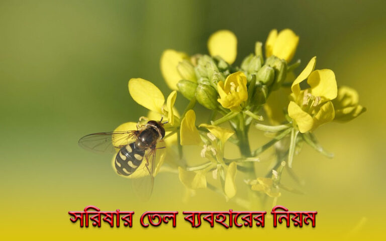 সরিষার তেল ব্যবহারের নিয়ম